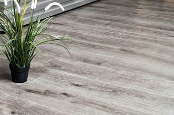 Клеевая кварцвиниловая плитка Alpine Floor Ultra ДУБ ДЫМЧАТЫЙ ECO 5-24